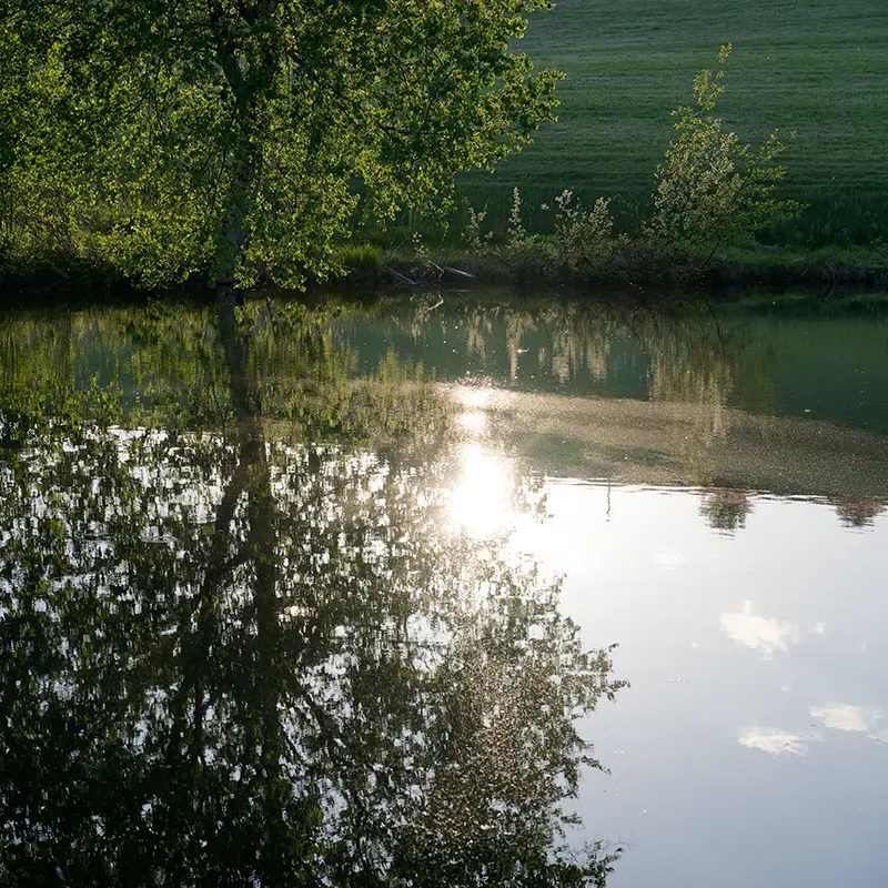Accéder aux photos nature inspirées des romans de Tolkien