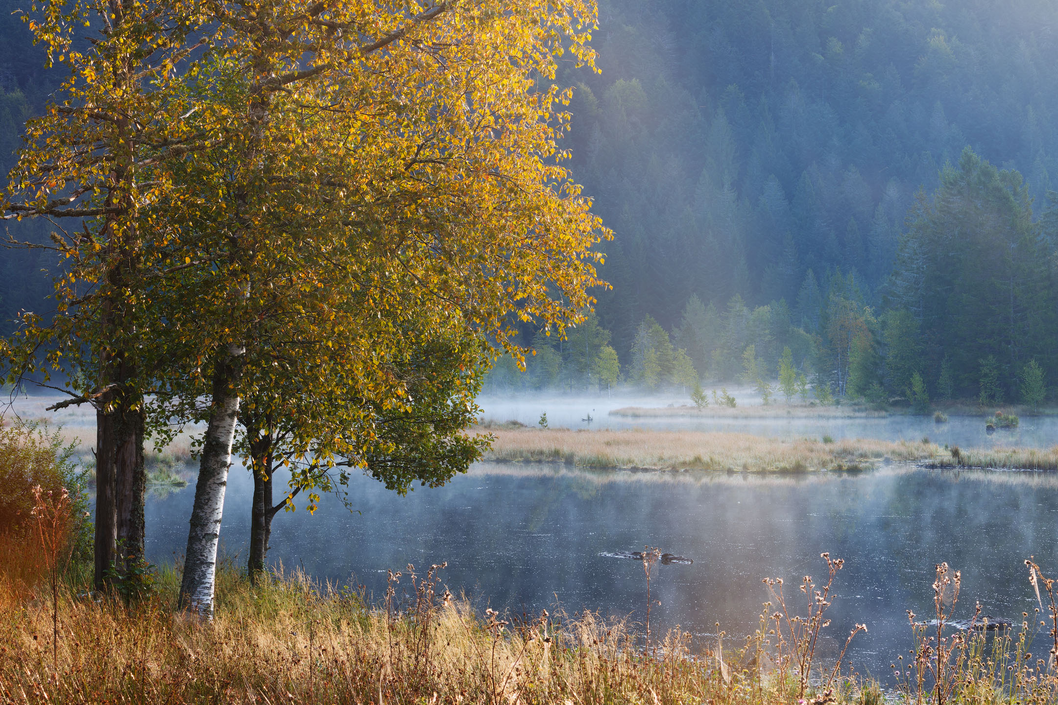 photo : Lac de Lispach, Vosges