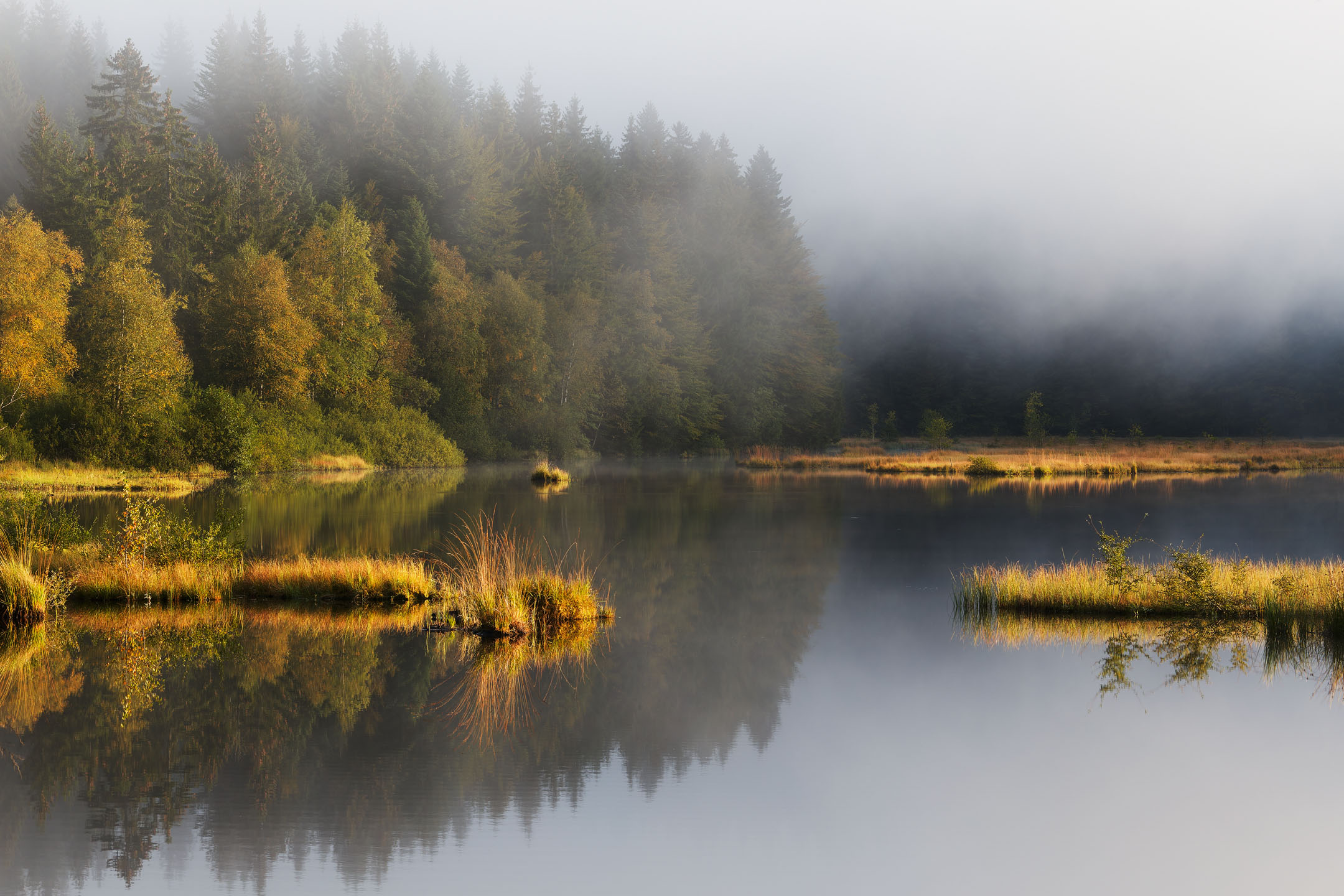 photo : Lac de Lispach, Vosges