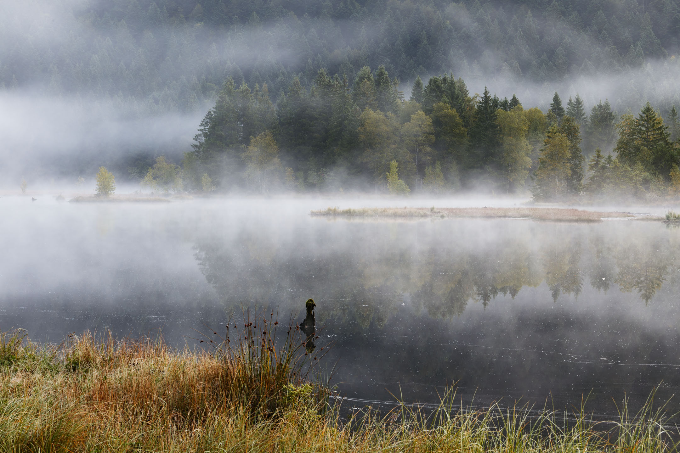 photo : Lac de Lispach, Vosges