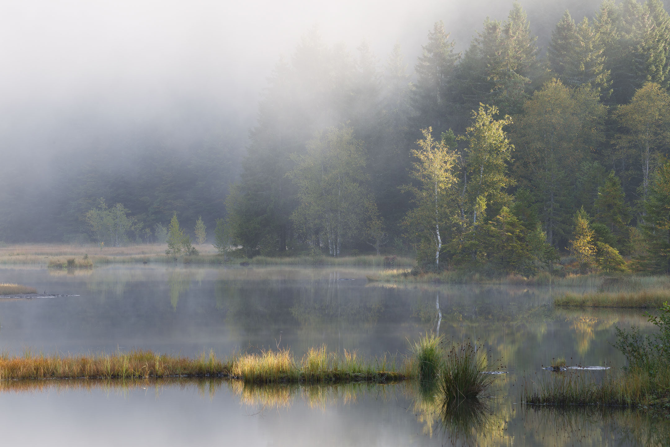 photo : lac et tourbière de Lispach, Vosges