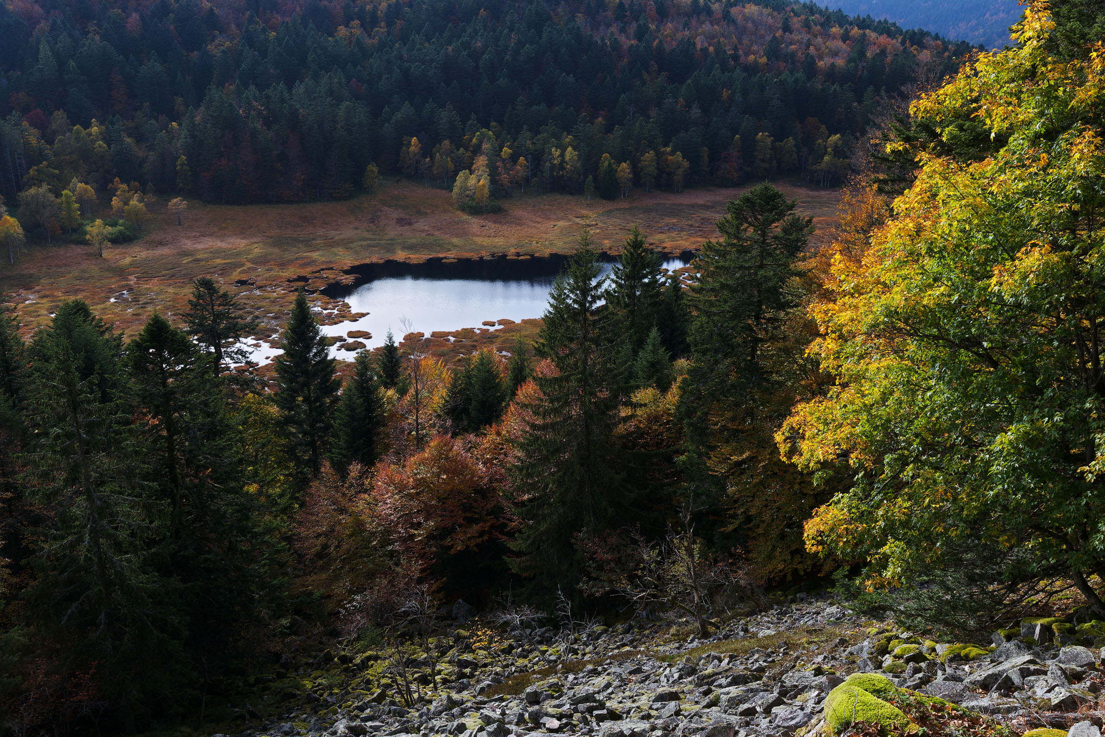 photo : Tourbière de Machais, Vosges