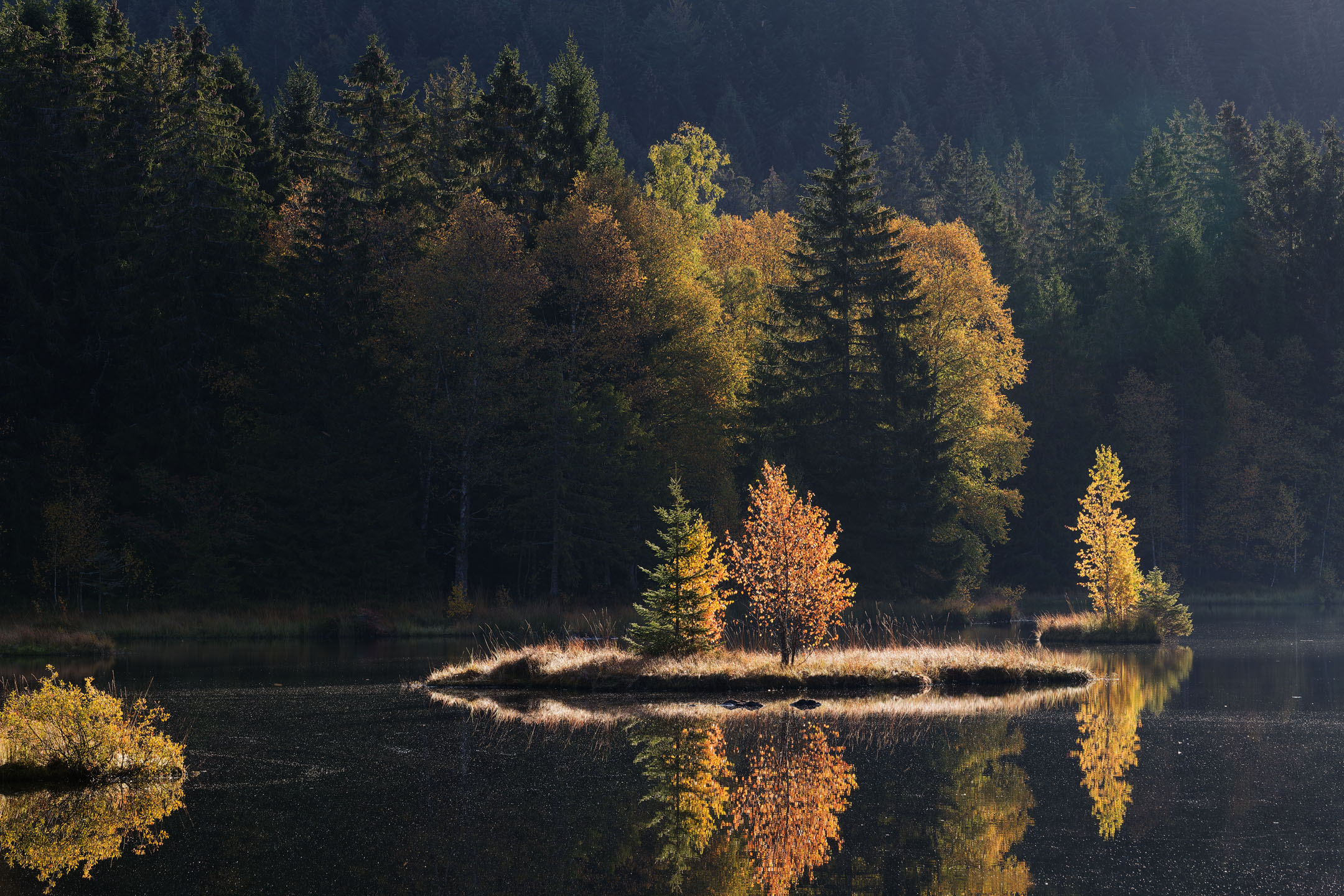 photo : Lac de Lispach, Vosges