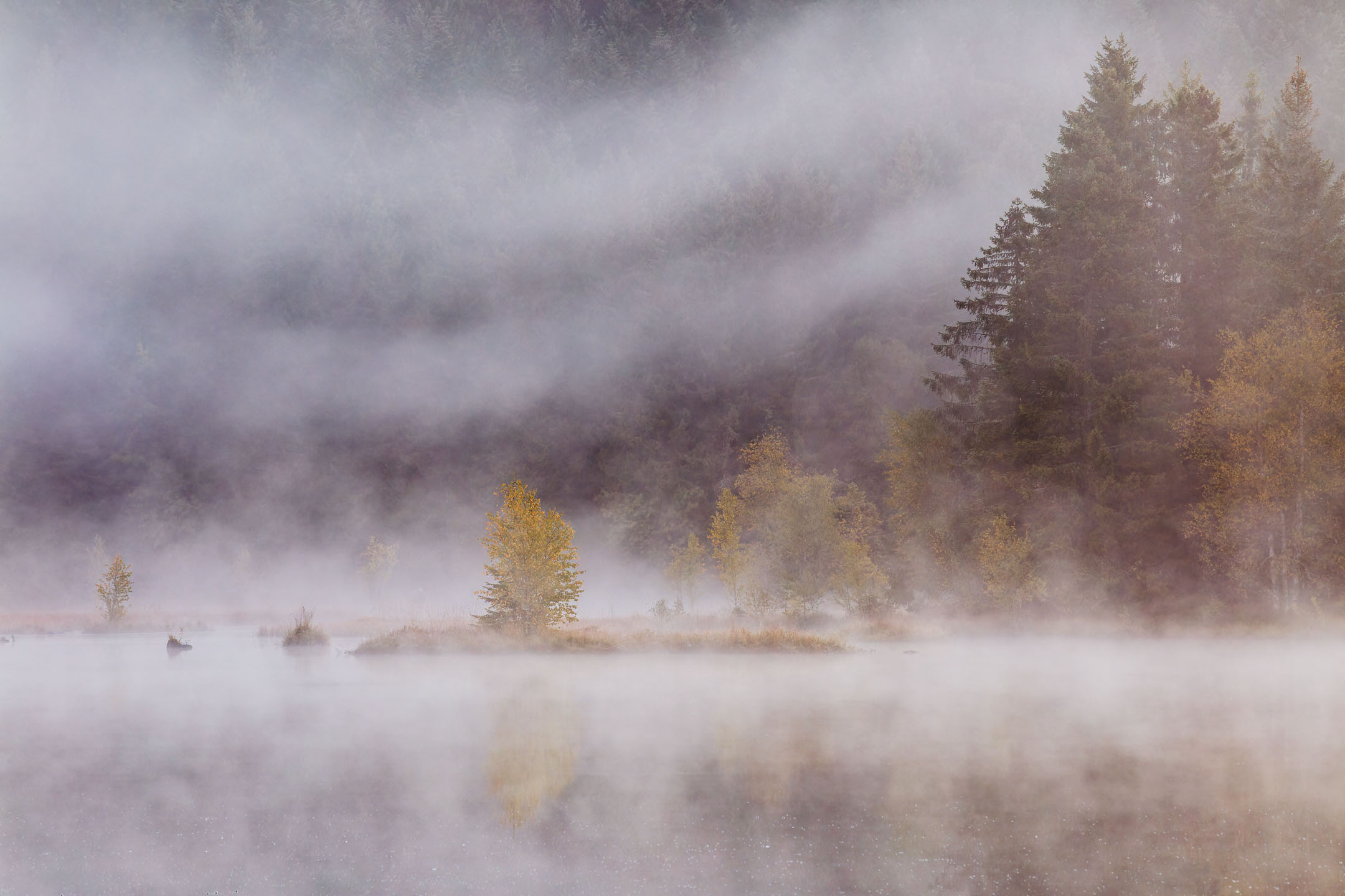 photo : Lac de Lispach, Vosges