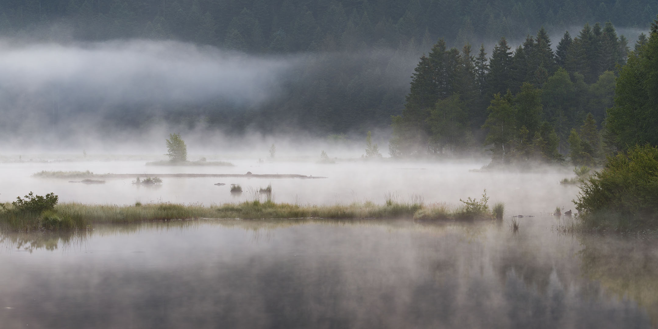 photo : Lac de Lispach, Vosges