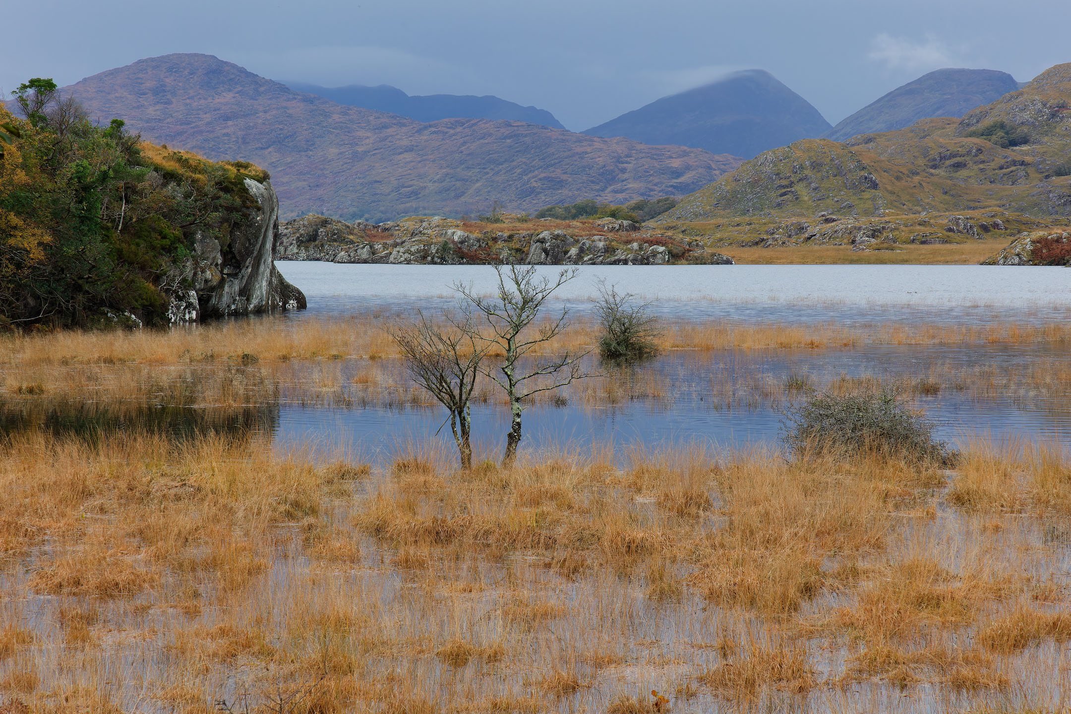 photo : Parc National de Killarney