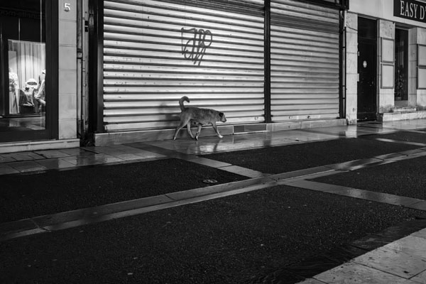 Street photo Seine-et-Marne 6