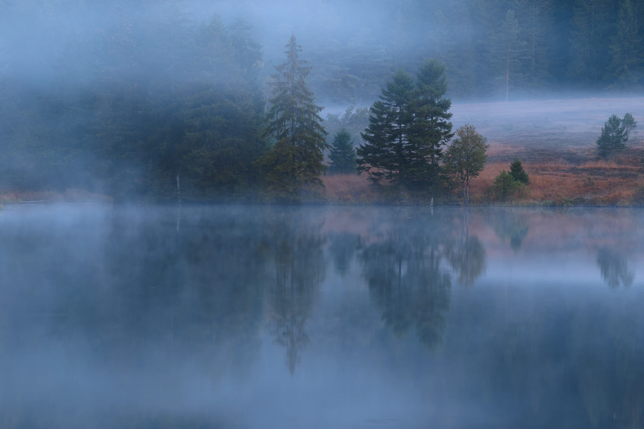 Lac de la Ténine dans une brume matinale à l'heure bleue, Vosges