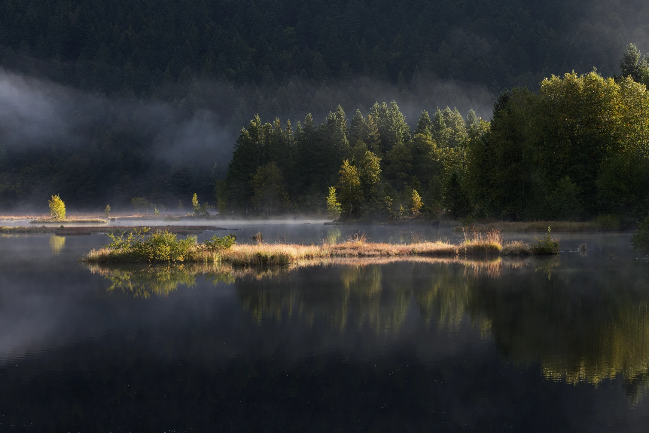 brume matinale sur le Lac de Lispach à l'automne, Vosges