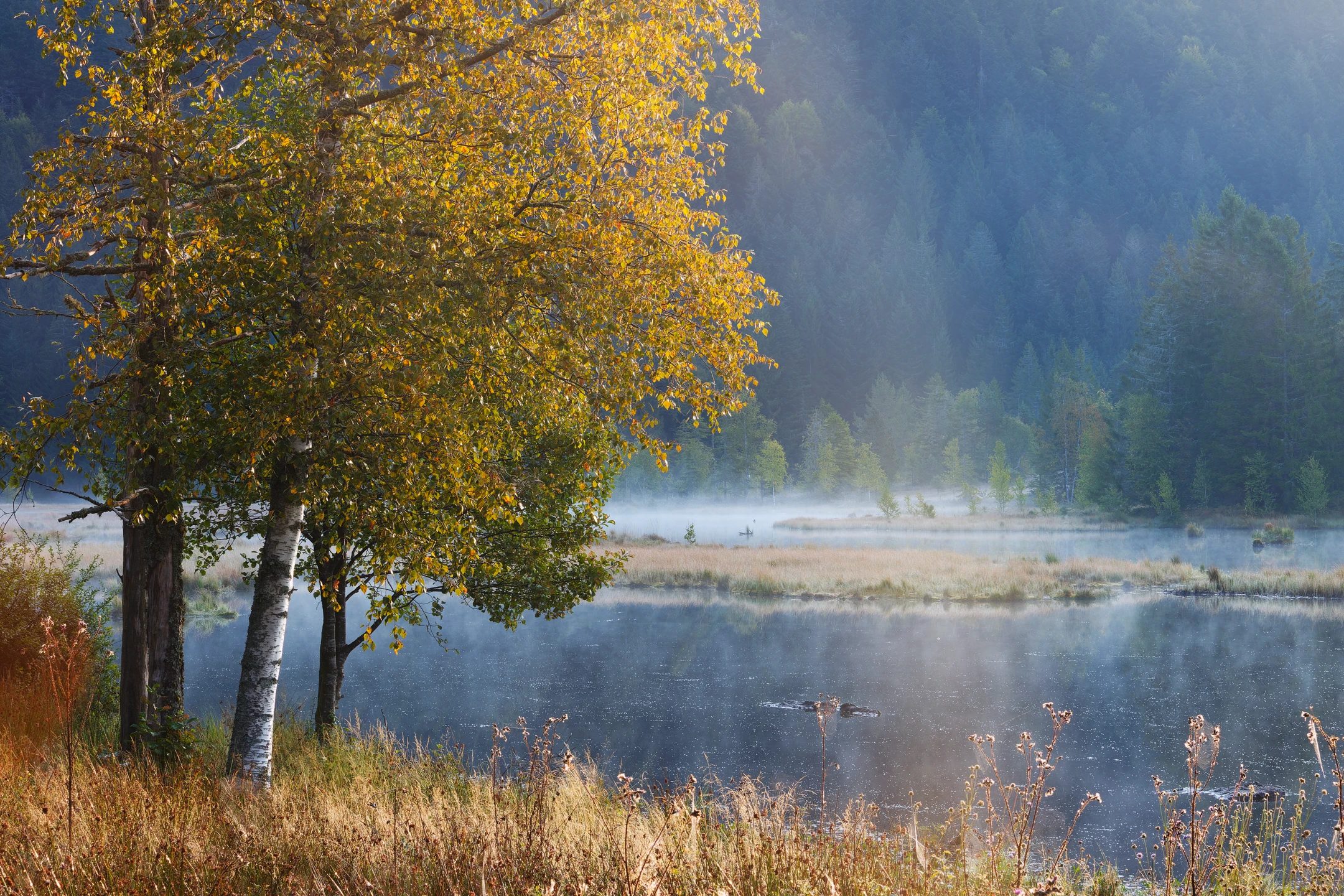 Lac de Lispach sous une fine brume automnale, Vosges
