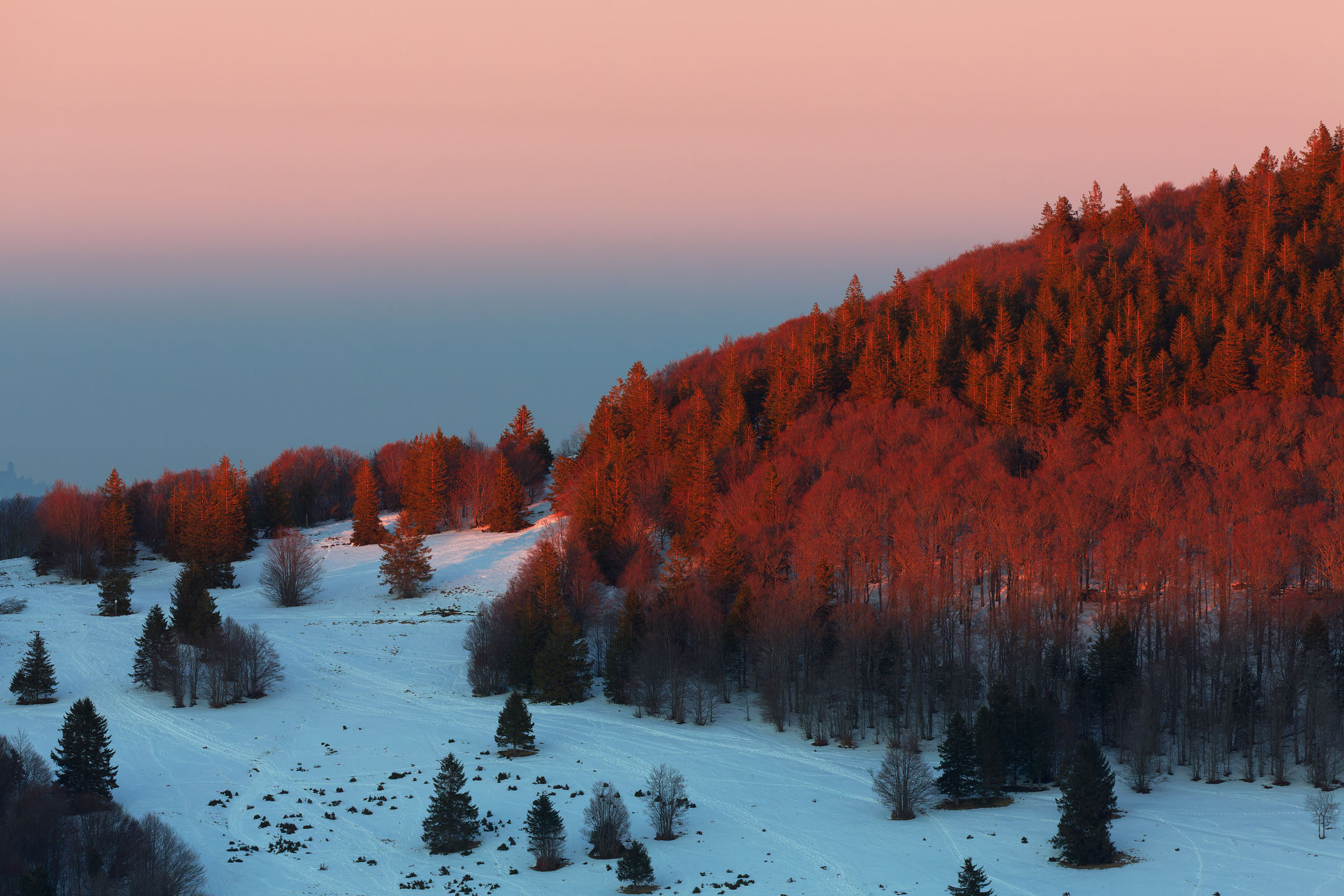 photo : Markstein en hiver au crépuscule, Vosges