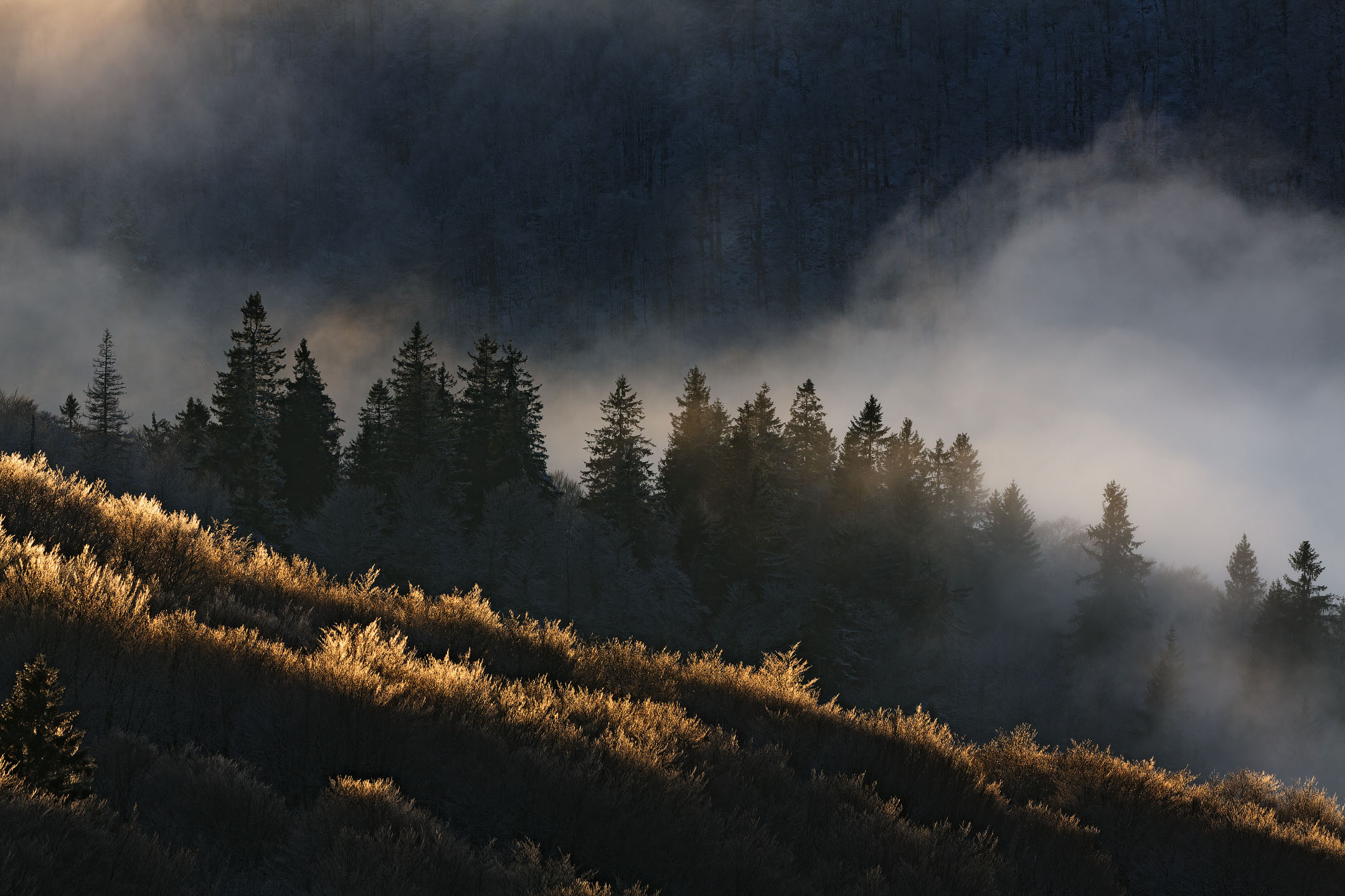 photo : crépuscule vu depuis le Kastelberg, Vosges