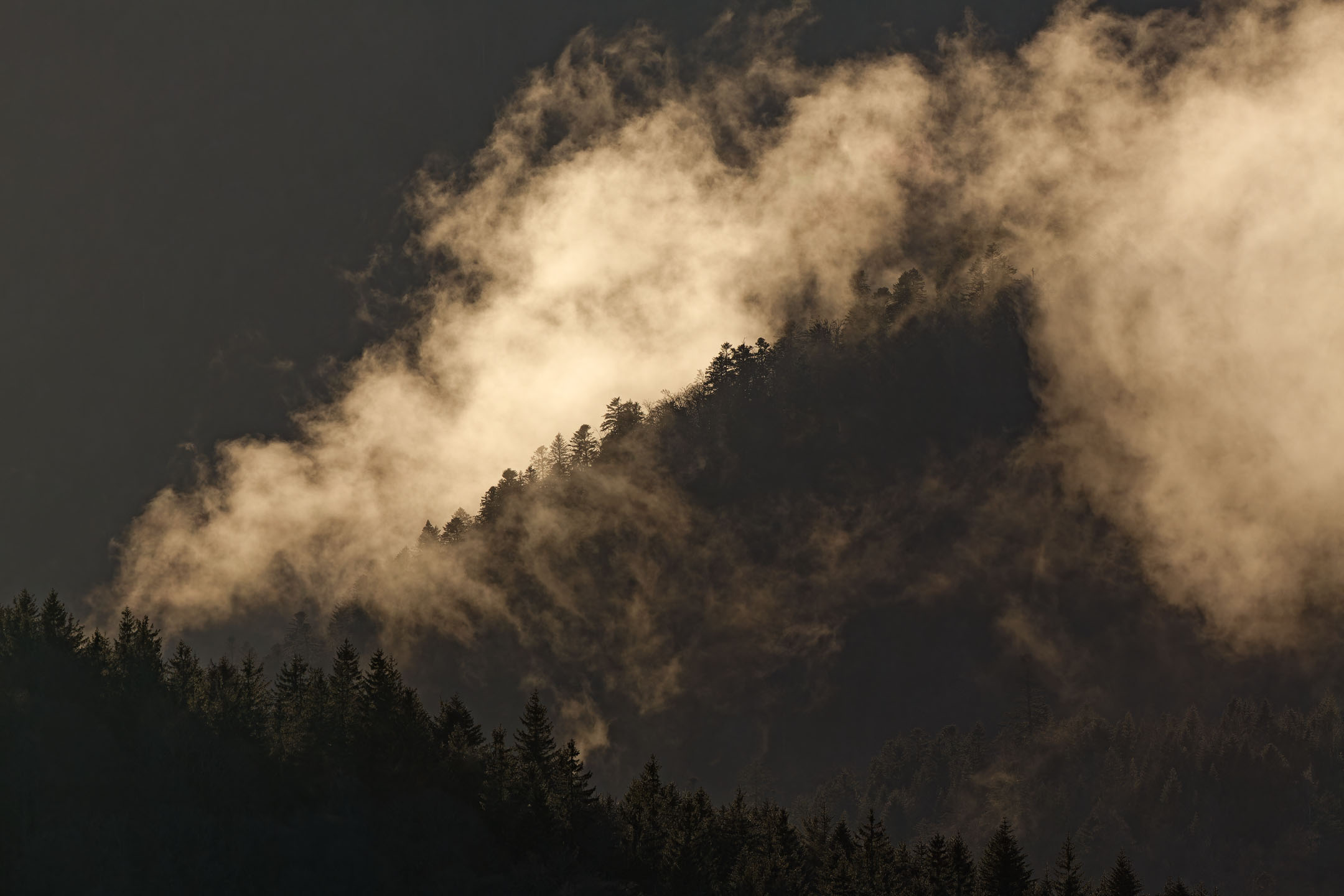 photo : brume en clair-obscur dans la montagne, Vosges