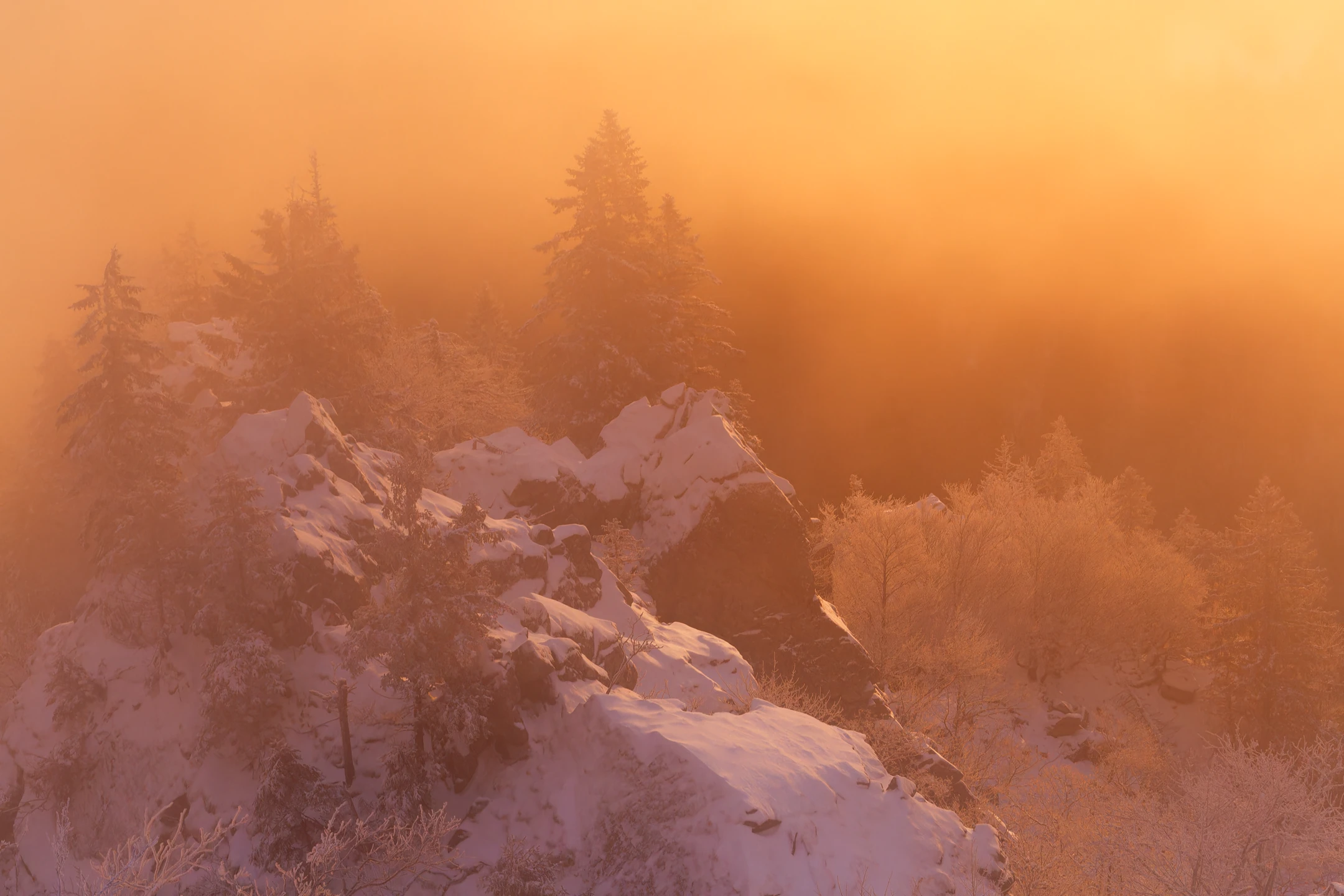 brume hivernale orange extrême sur la Réserve Naturelle du Frankenthal