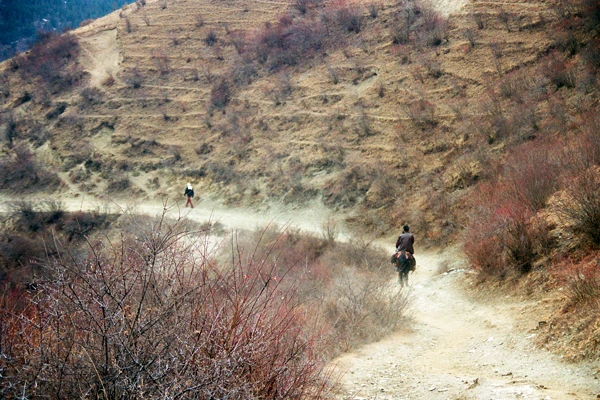 Photo : Trec à cheval et à pied dans les montagnes du Parc Naturel National de Jiuzhaigou, Sichuan, Chine.
