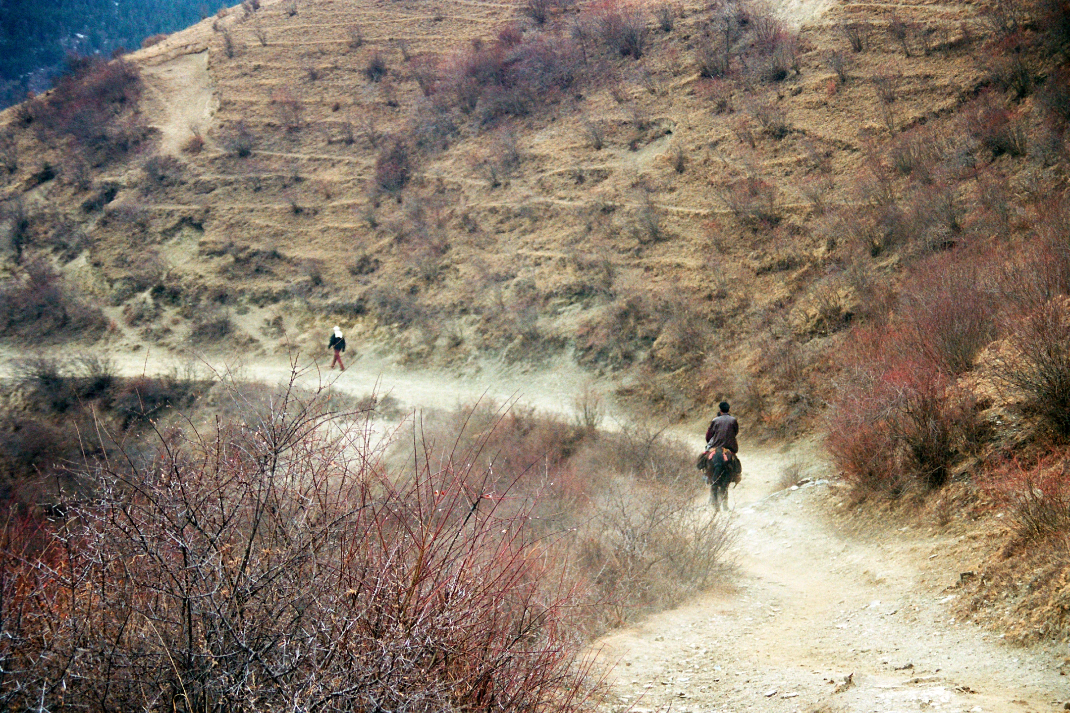 Photo : Trec à cheval et à pied dans les montagnes du Parc Naturel National de Jiuzhaigou, Sichuan, Chine.