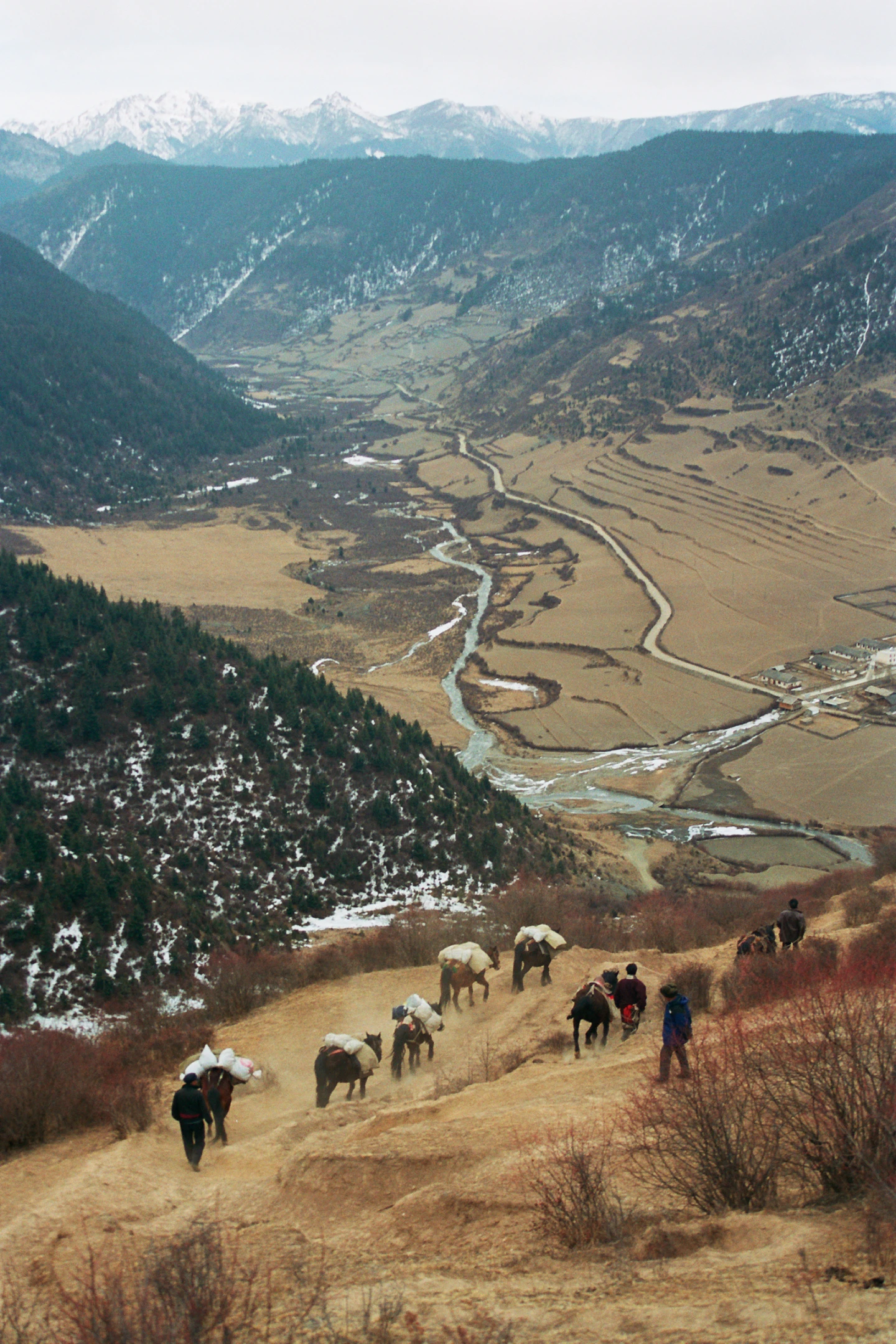 Photo : Montagnes, vallée et rivière du Parc Naturel National de Jiuzhaigou, Sichuan, Chine.