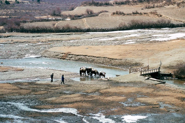 Photo : Chevaux buvant à la rivière dans une vallée du Parc Naturel National de Jiuzhaigou, Sichuan, Chine.