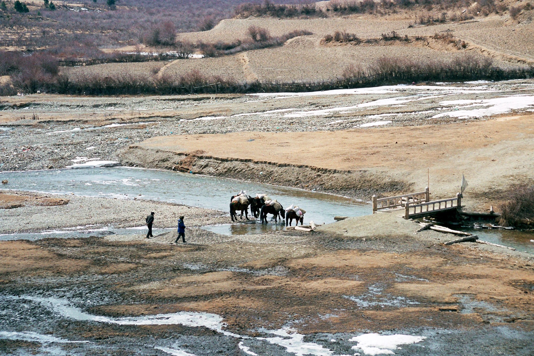 Photo : Chevaux buvant à la rivière dans une vallée du Parc Naturel National de Jiuzhaigou, Sichuan, Chine.