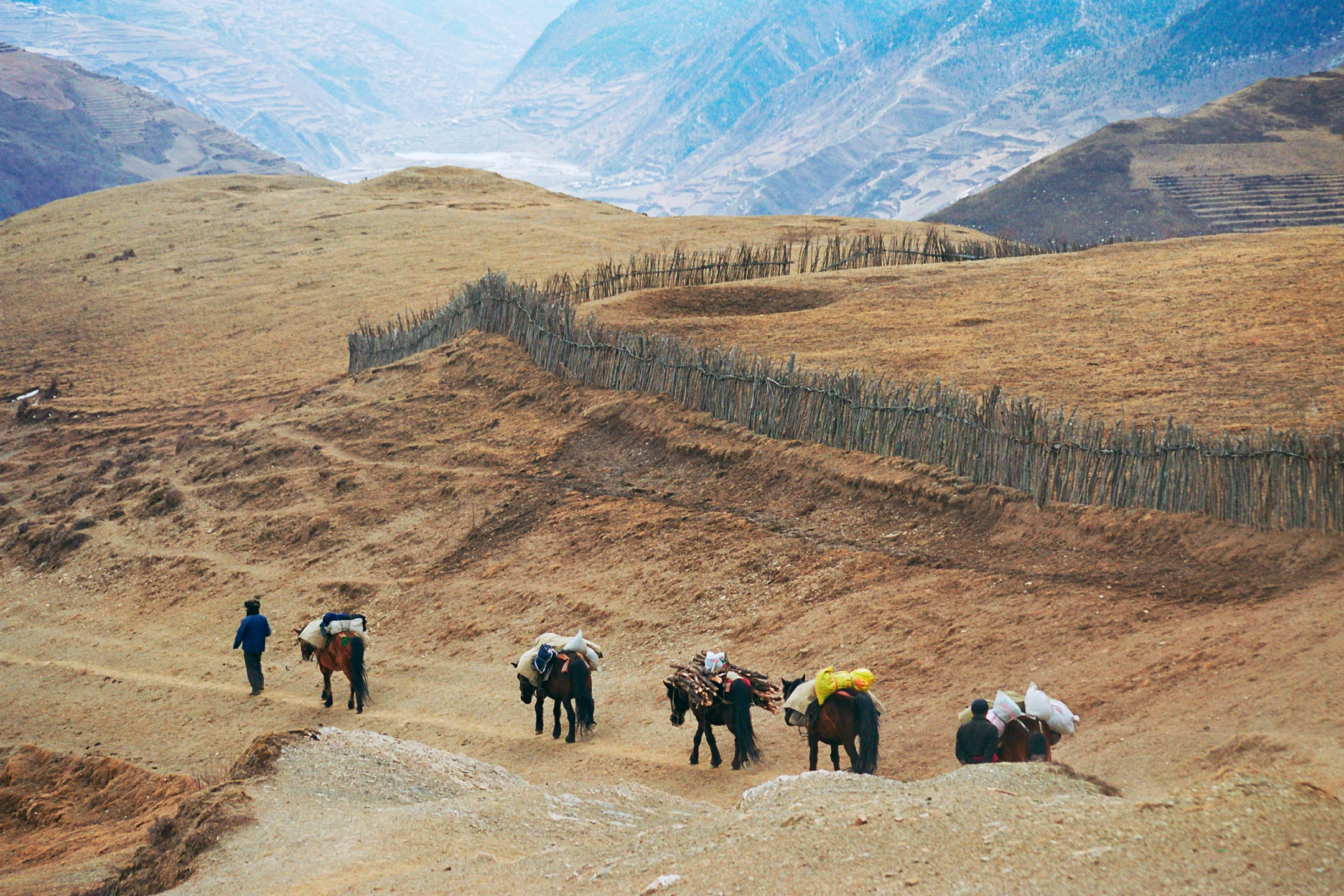 Photo : Caravane de chevaux dans les montagnes du Parc National de Jiuzhaigou, Sichuan, Chine.