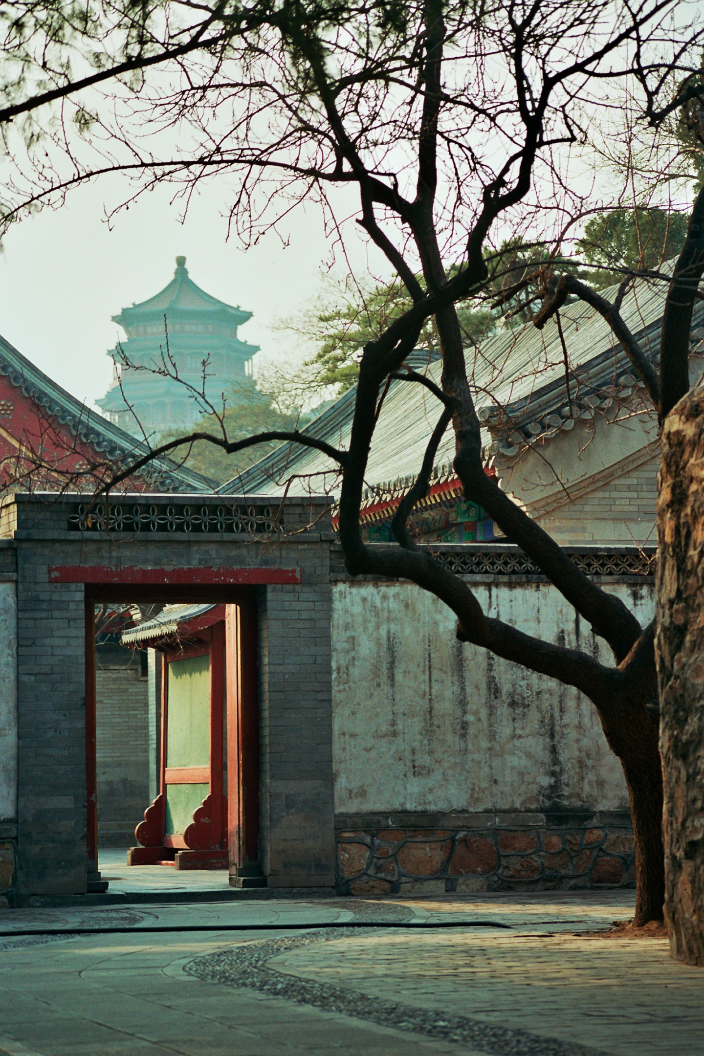 Photo : Ruelle du Palais d'Été dans le district de Haidian, Chine.