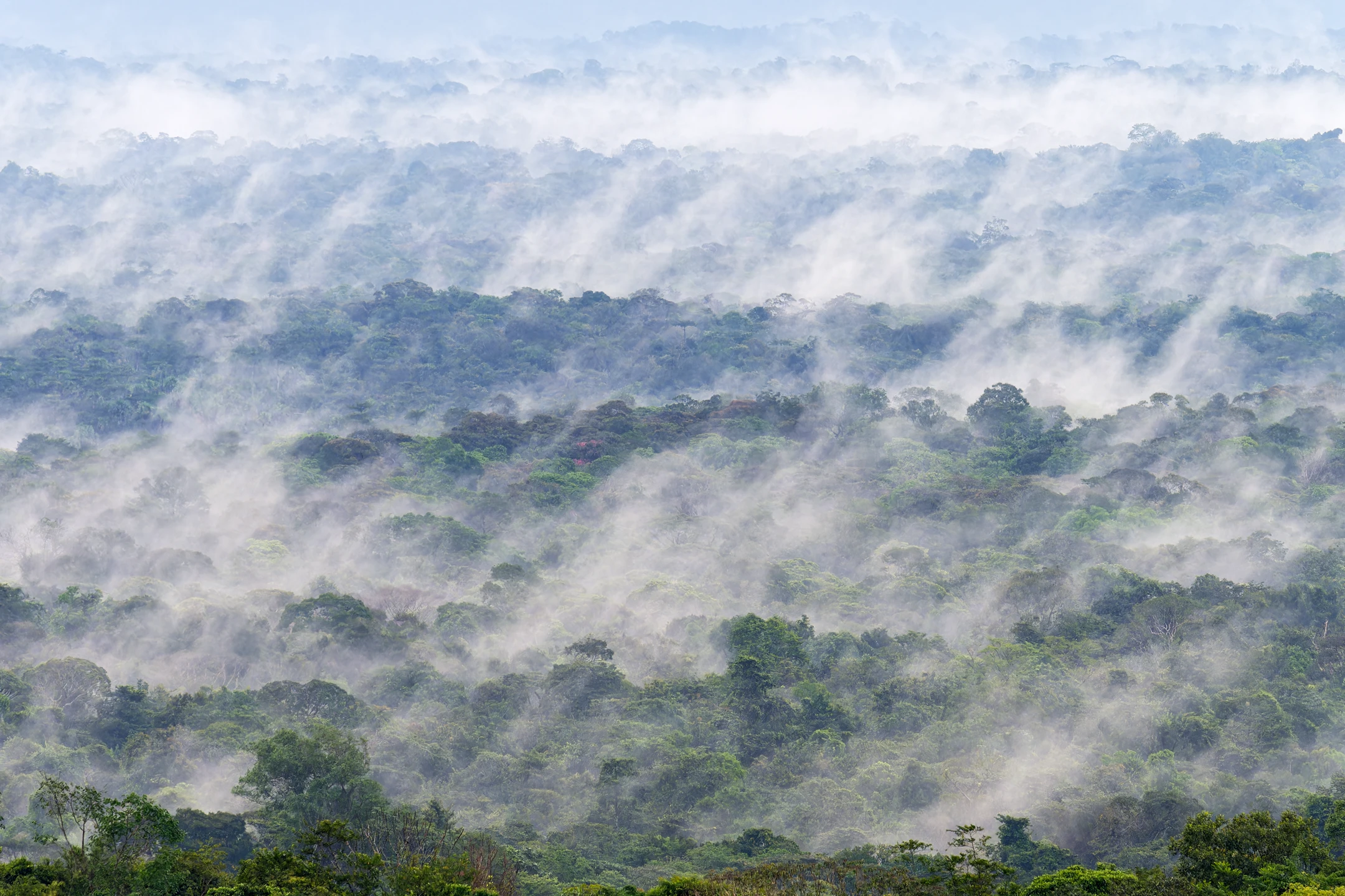 Photo : Montagnes de Cacao enveloppées de brume matinale, Guyane.