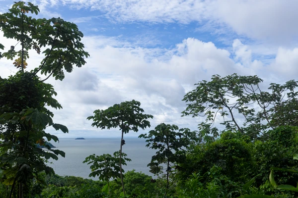 Photo : îlot vu depuis le sentier du Rorota.