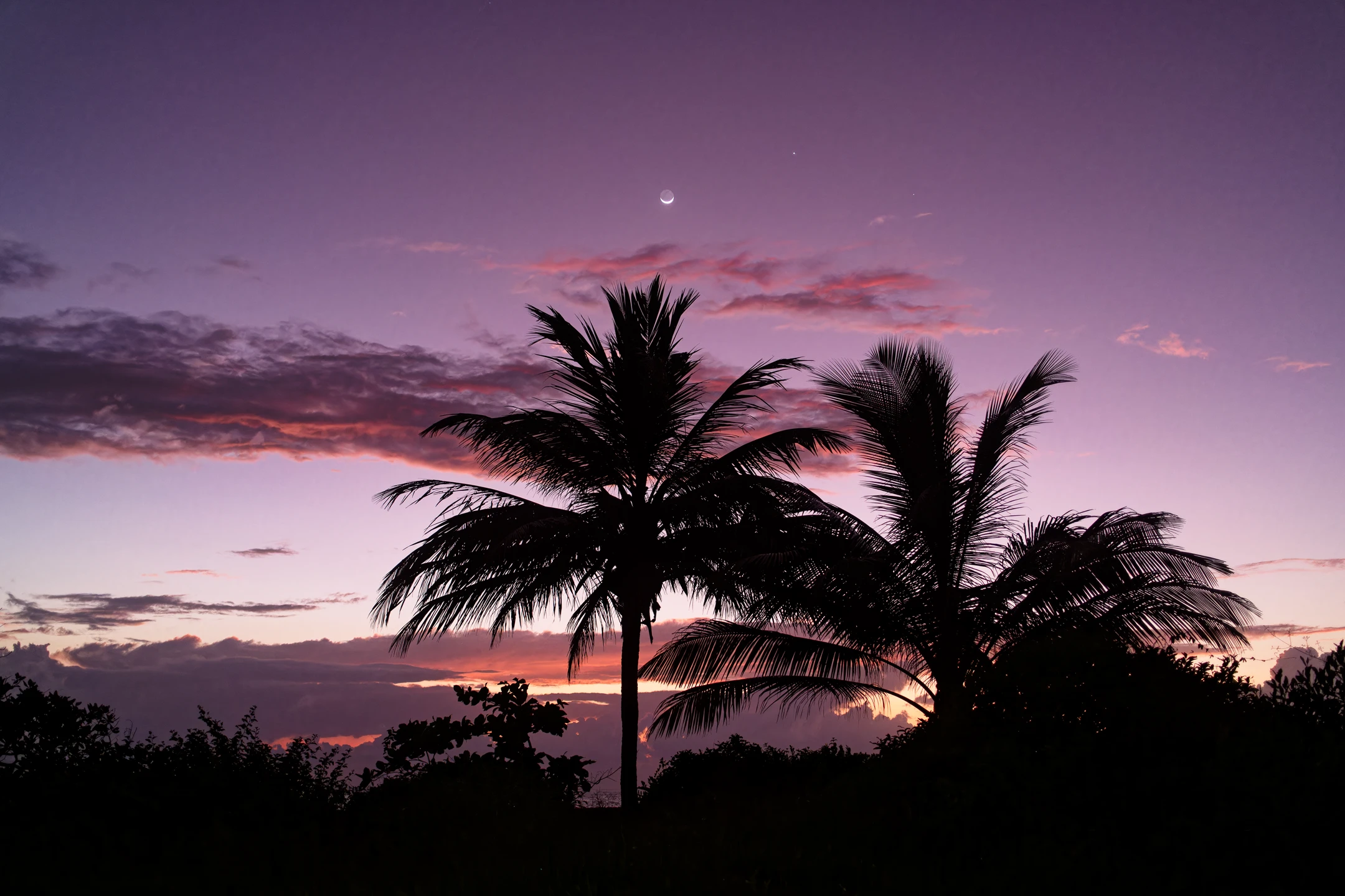 Photo : Plage des Salines au crépuscule, Guyane.