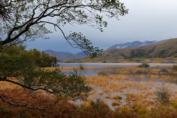Photo : Lac du Parc National de Killarney, Irlande (Killarney National Park, Ireland).