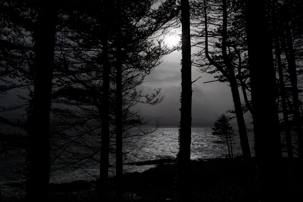 Photo : Anneau de Kerry (The Ring of Kerry) en lisière d'océan, Irlande (Ireland).