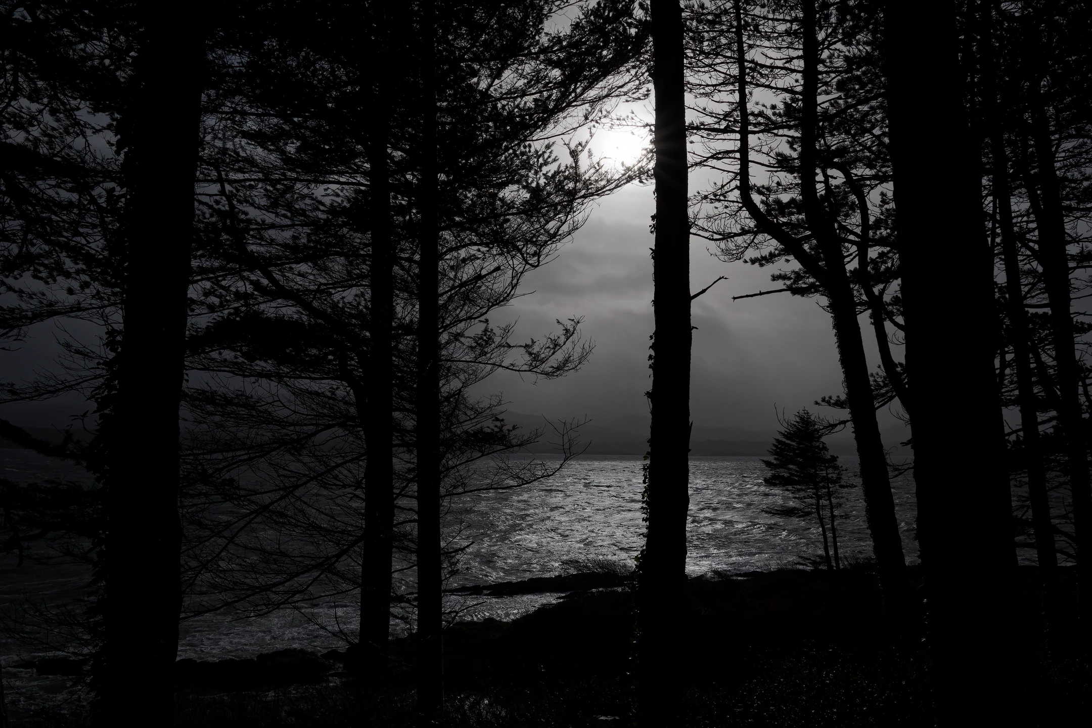 Photo : Anneau de Kerry (The Ring of Kerry) en lisière d'océan, Irlande (Ireland).