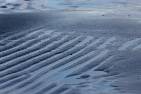 Photo : Sable au reflets bleus d'une plage de fjord au crépuscule.