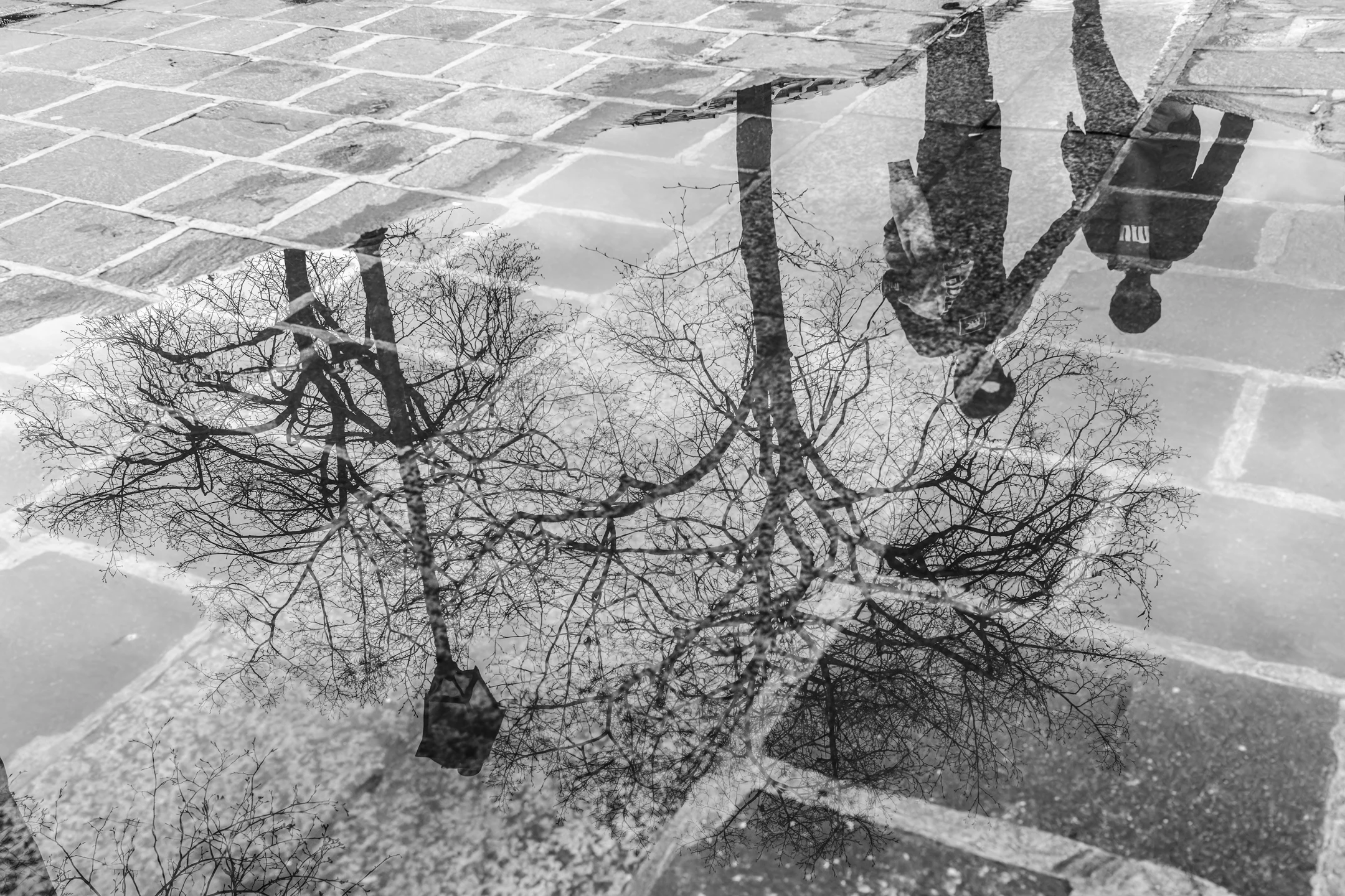 Street photo Paris : Les Halles, Place Joachim du Bellay.