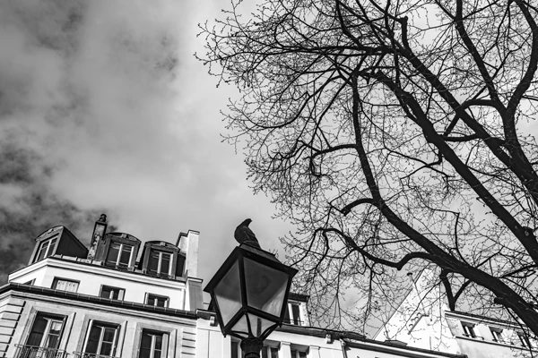 Street photo Paris : Les Halles, Place Joachim du Bellay.