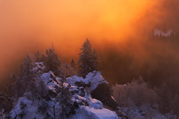 Photo : Brume hivernale intense sur la Réserve Naturelle du Frankenthal, Vosges.