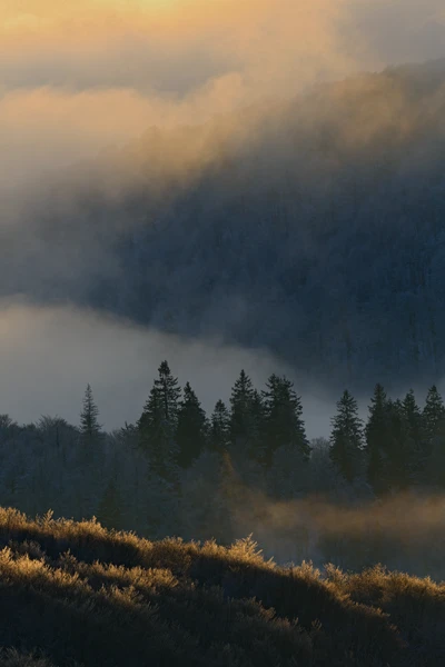 Photo : Point de vue vosgien depuis le Kastelberg en hiver, Vosges.