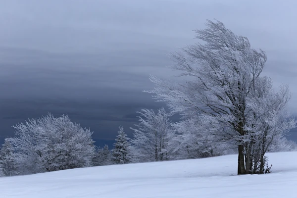 Photo : Paysage hivernal des Trois Fours sous un ciel sombre, Vosges.