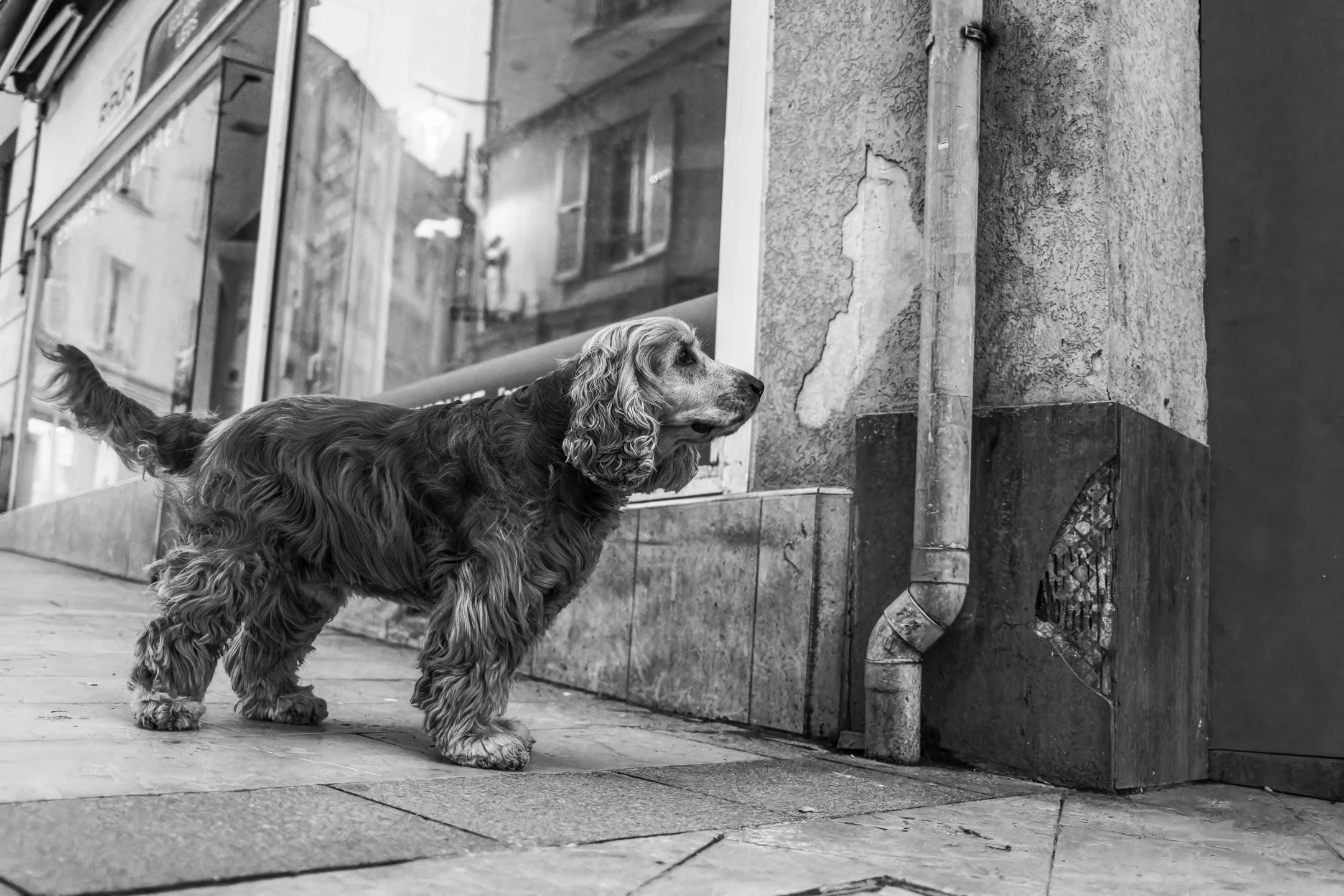 Street photo Seine-et-Marne : Lagny-sur-Marne.