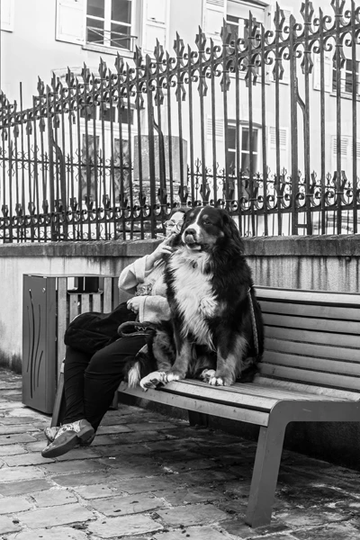 Street photo Seine-et-Marne : Lagny-sur-Marne.