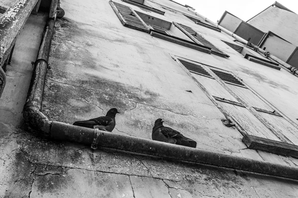 Street photo Seine-et-Marne : Lagny-sur-Marne.