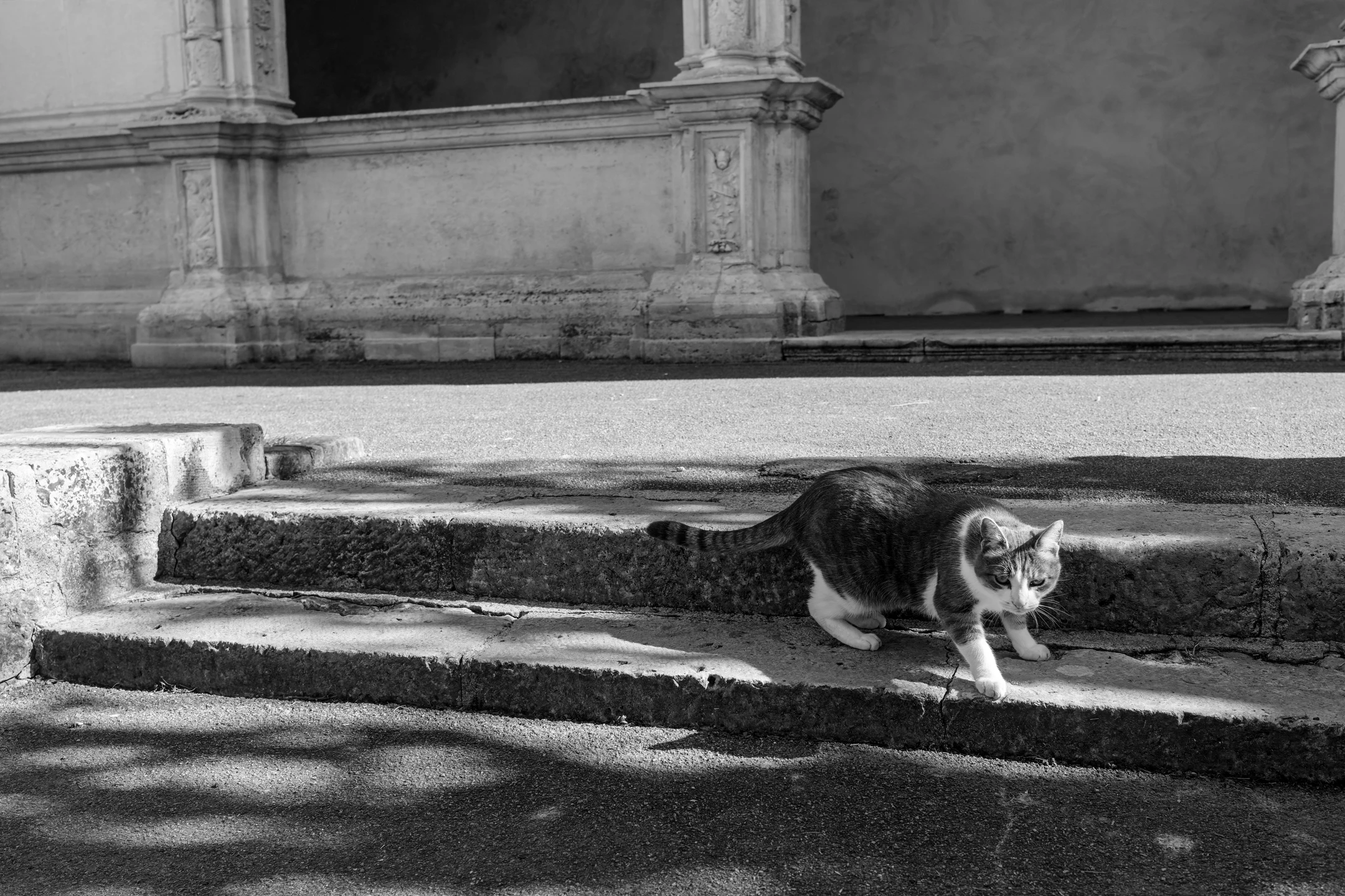 Street photo Seine-et-Marne : Moret-sur-Loing.
