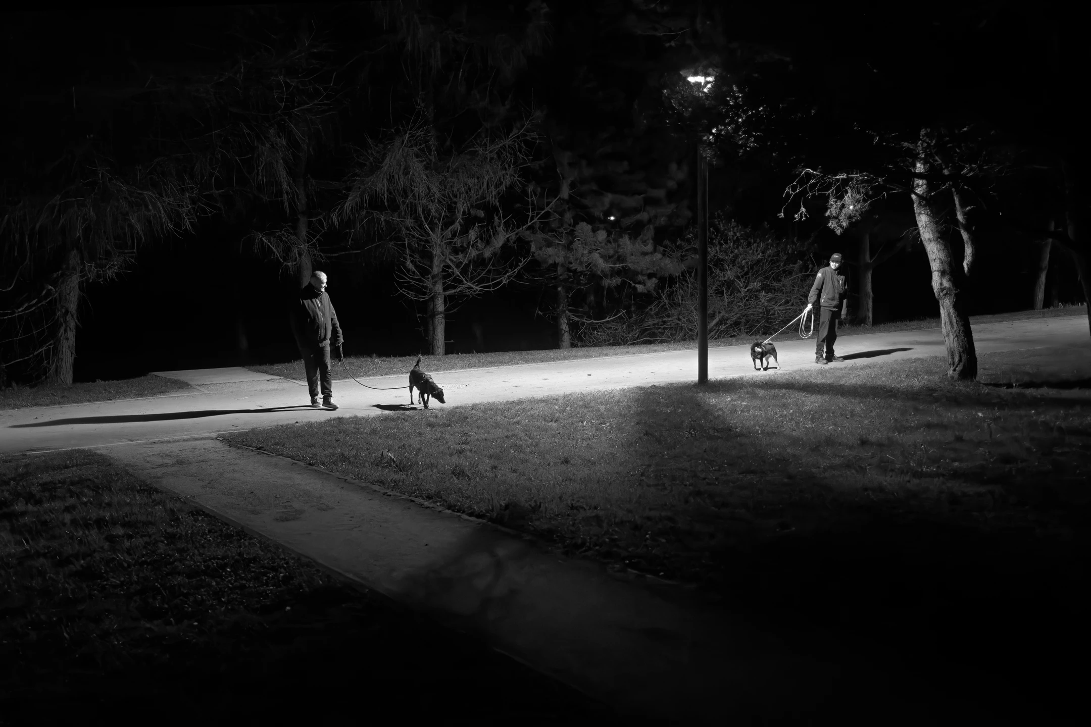 Street photo Seine-et-Marne : Bussy-Saint-Georges.