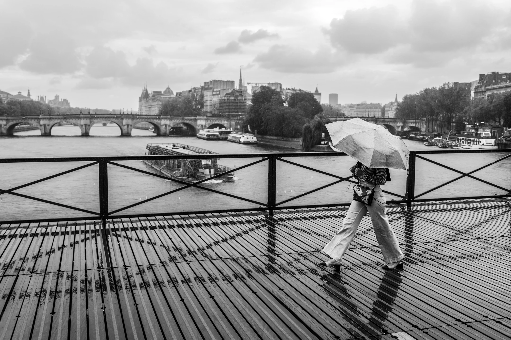 Street photo : France, Paris, Pont des Arts et Pont Neuf.