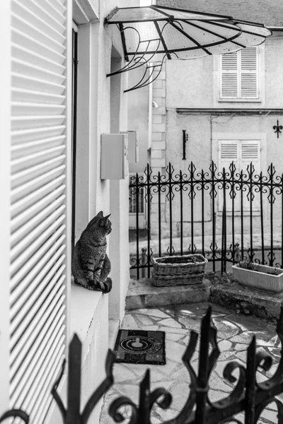 Street photo : France, Seine-et-Marne, Lagny-sur-Marne.