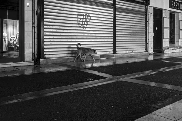 Street photo : France, Seine-et-Marne, Lagny-sur-Marne.