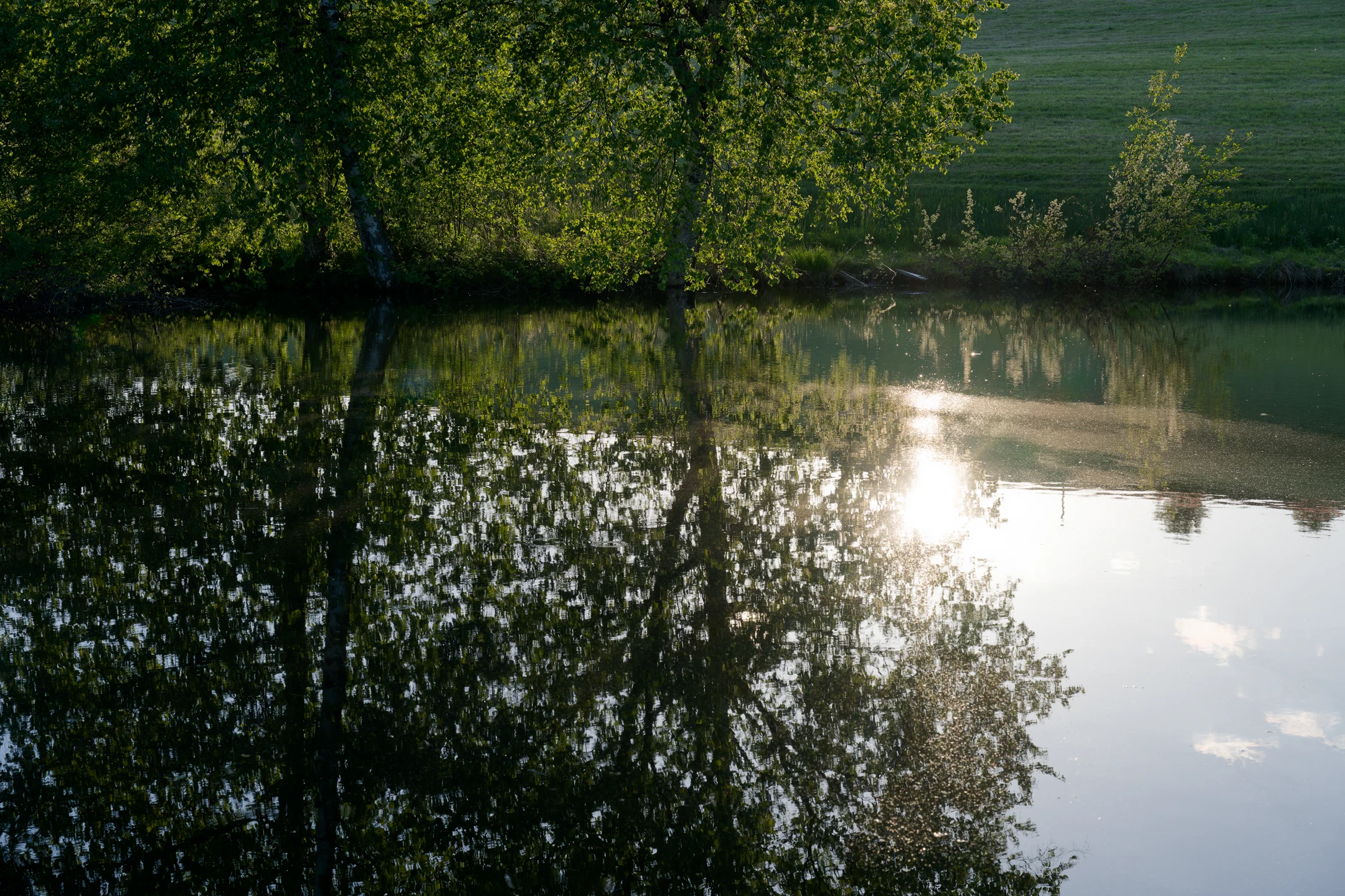Photo : Étang de Lèzeau, Comté, Terre du Milieu.