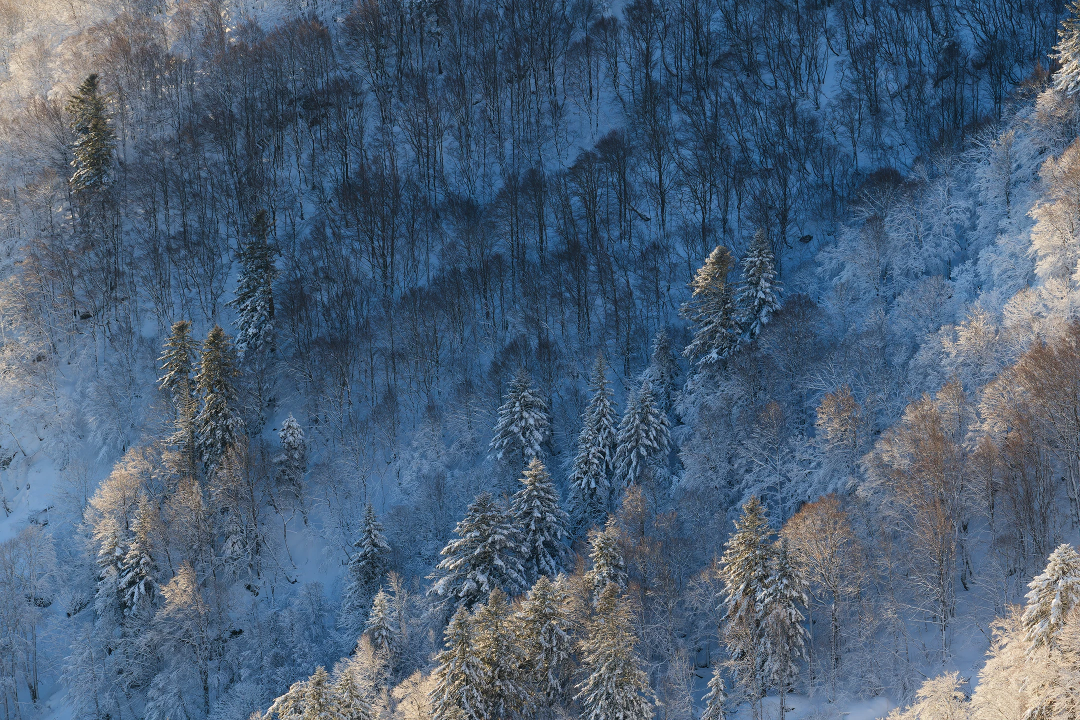 Photo : Montagnes Bleues (Ered Luin), Terre du Milieu.