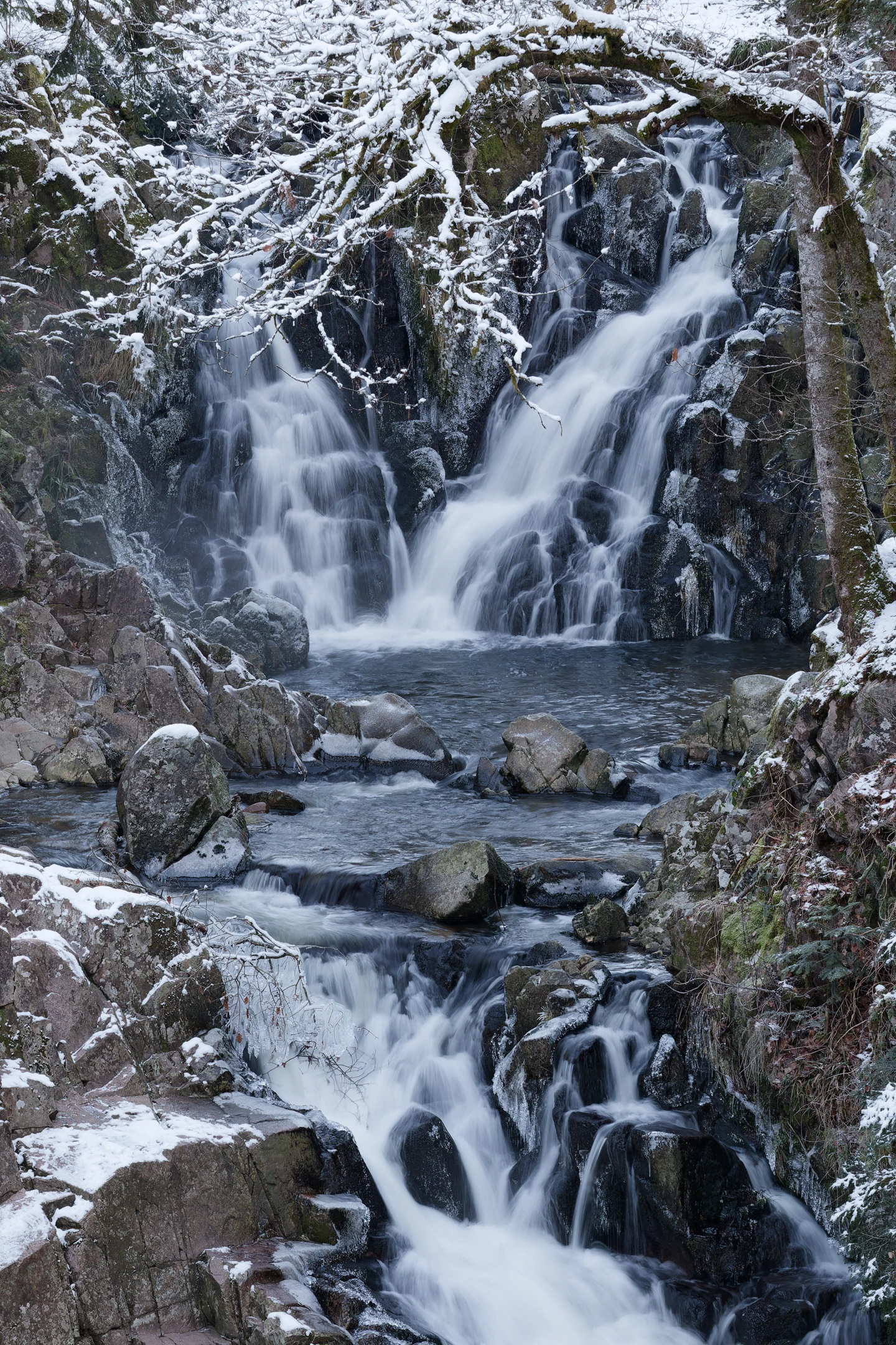 Photo : Source du Langwell, Terre du Milieu.