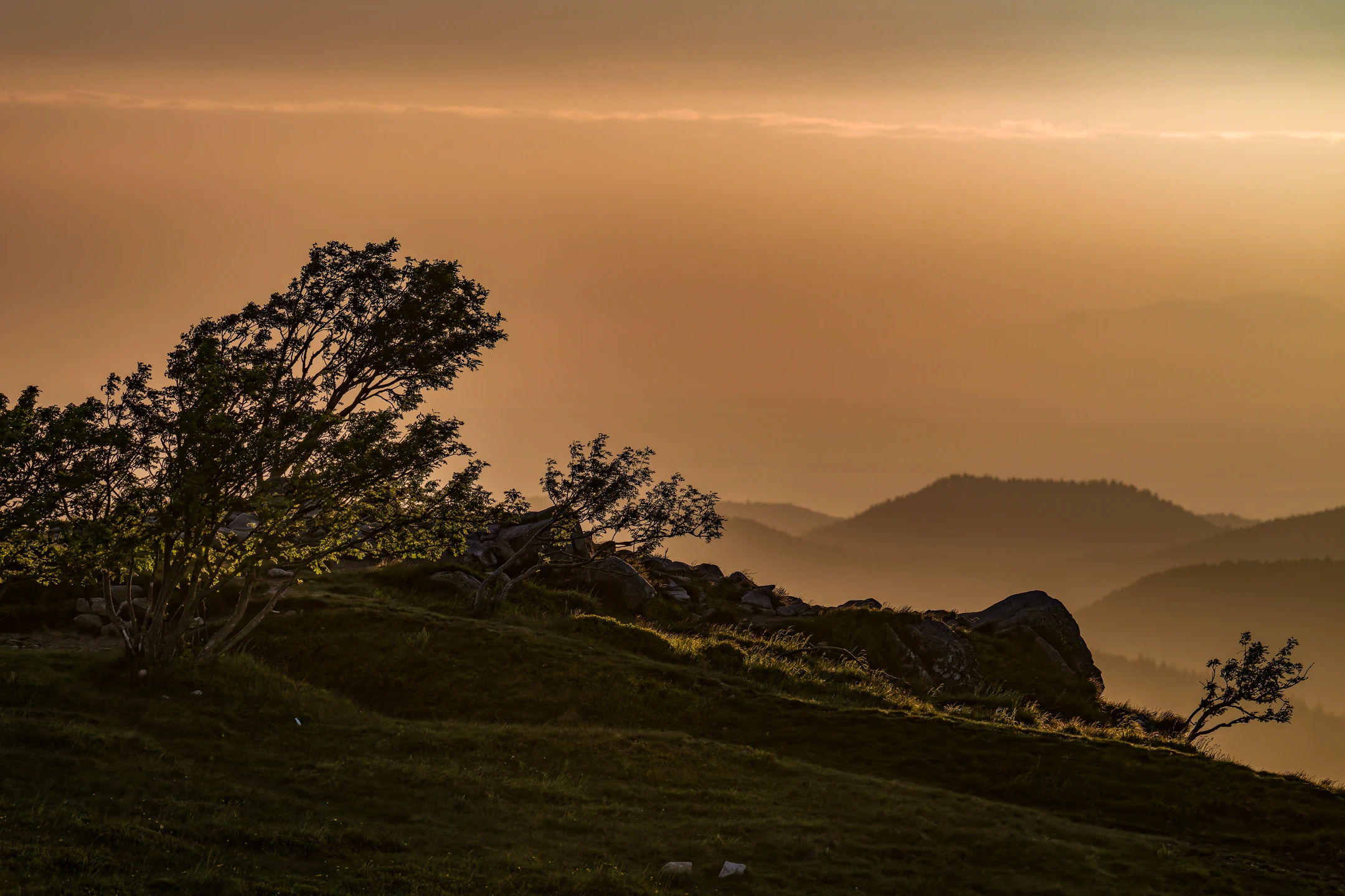 Photo : Terres Sauvages (Wilderlands), Terre du Milieu.