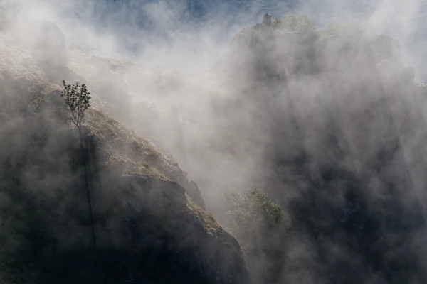 Photo : Brume épaisse sur les Spitzkoepfe en été, Vosges.